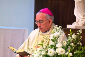 Dom Lucena SP 15