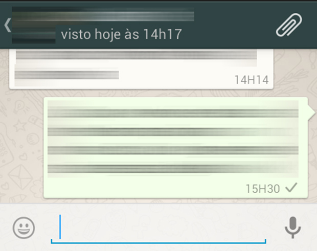 Apenas um sinal de visto na mensagem indica que ela foi enviada ao servidor do WhatsApp; Dois, que ela foi entregue (Foto: Reprodução/João Paulo Carrara)