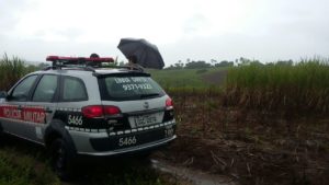 Corpos foram encontrados em canavial na Zona Rural de Sapé