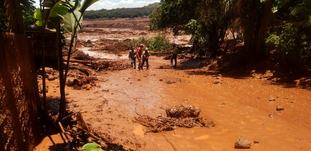Área atingida pela lama despejada em Brumadinho Imagem: Divulgação.